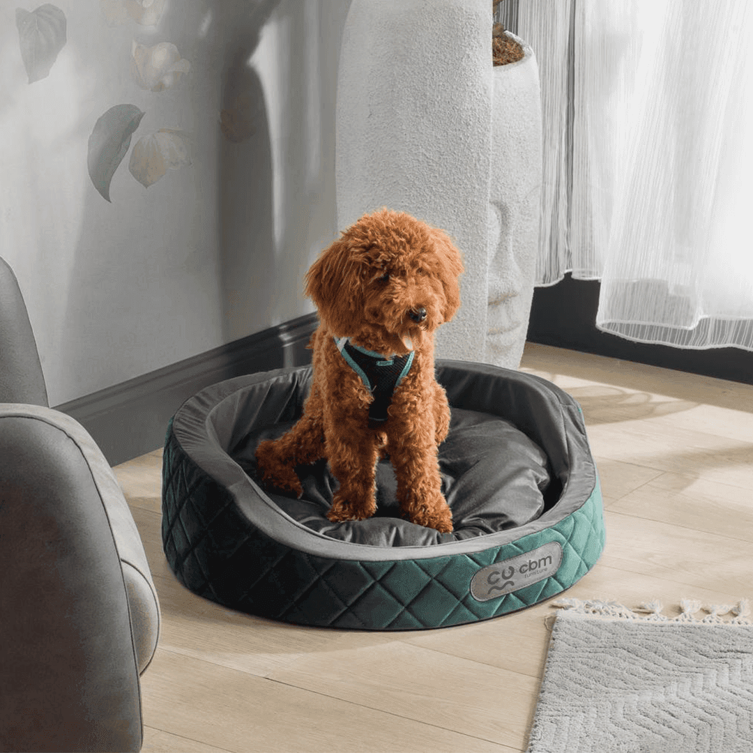 Elegance Evcil Hayvan Yatağı