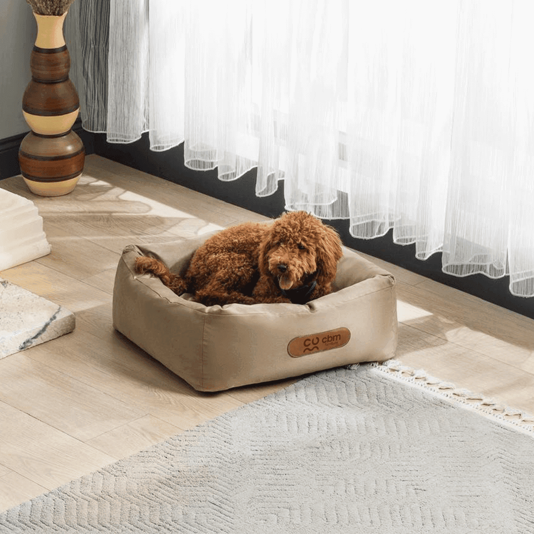 Original Kedi & Köpek Yatağı