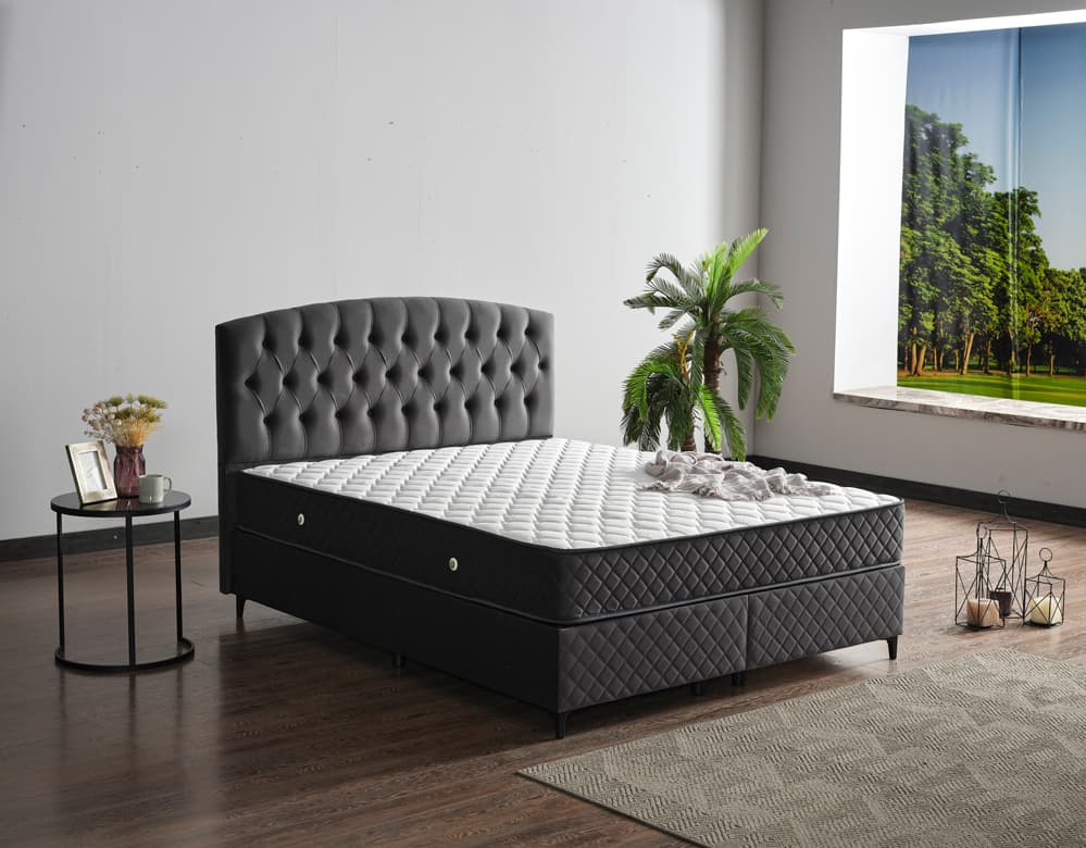 Armoni Baza Başlık Seti