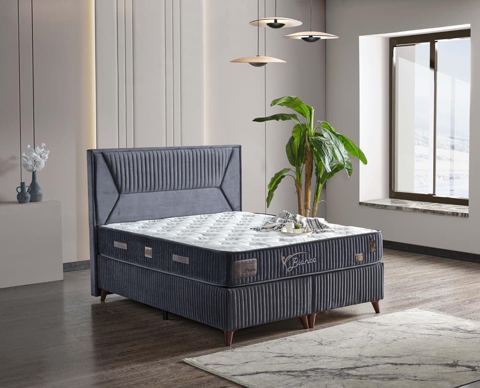 Bianca Grey Baza Başlık Seti