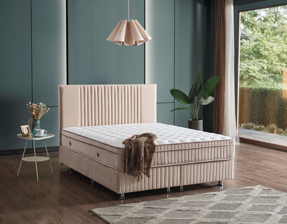 Bien Baza Başlık Seti