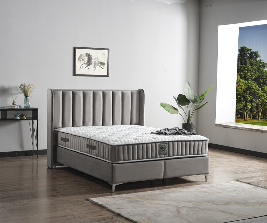 Bio Life Baza Başlık Seti